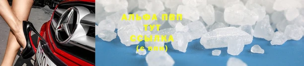 сатива Дубна
