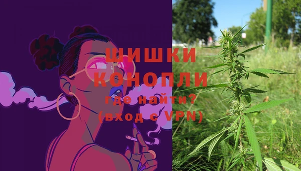 сатива Дубна