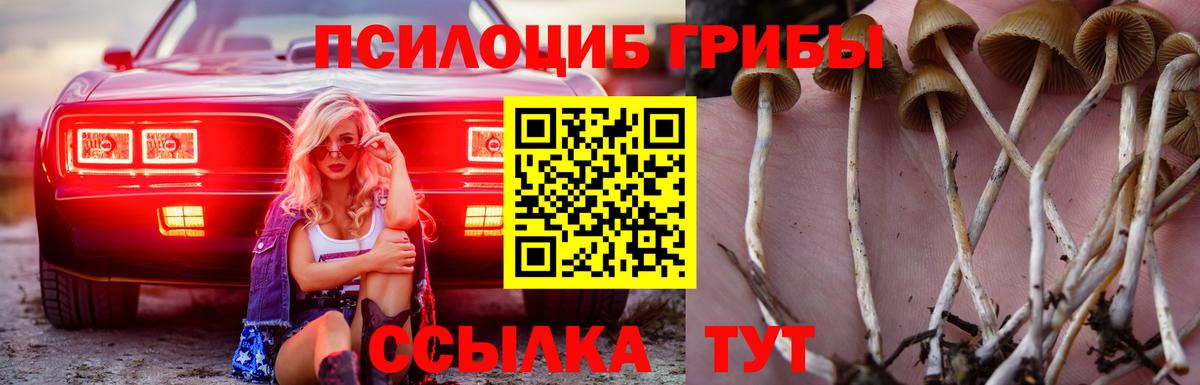 Вязники  Галлюциногенные грибы Cubensis  Вход с VPN  Галлюциногенные грибы GOLDEN TEACHER 